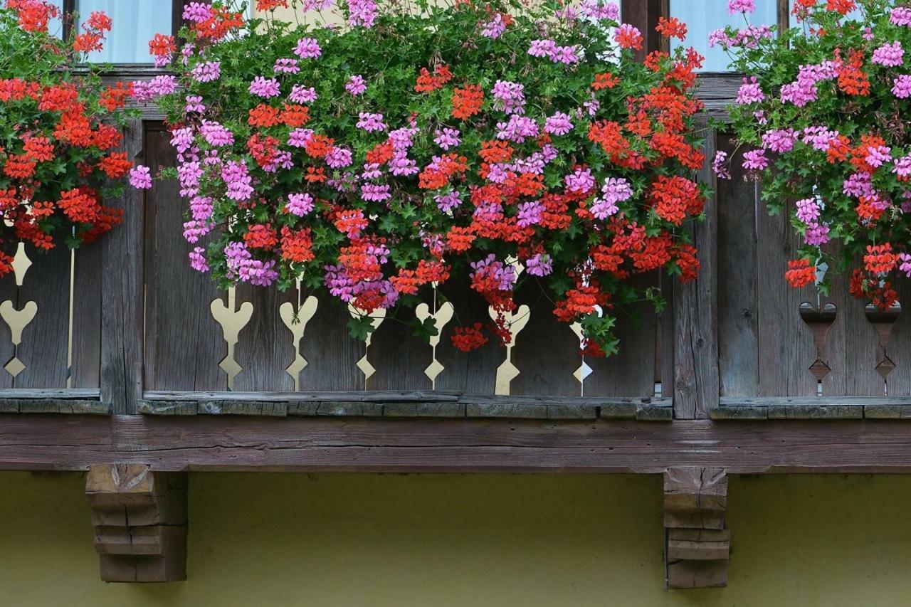 Muellnerbauer Appartement Penk Buitenkant foto